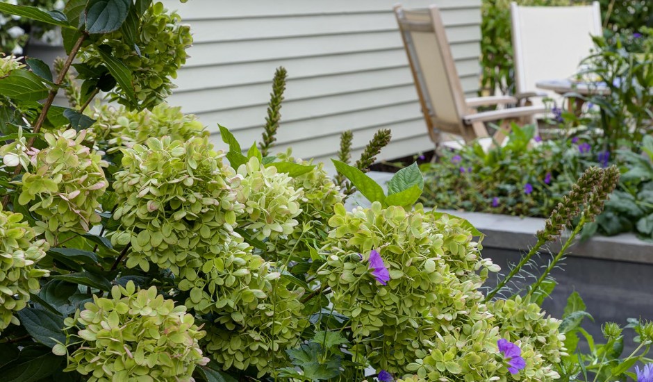 Nilsen Landscape Design » Brookline Residence